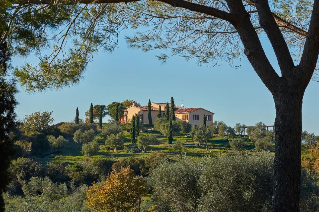 Poggio Tamantino, Villa Con Piscina In Maremma Poggio Cavallo Extérieur photo